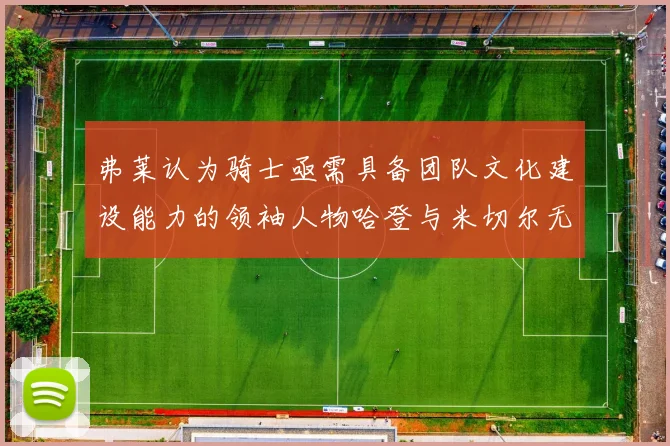 弗莱认为骑士亟需具备团队文化建设能力的领袖人物哈登与米切尔无法胜任